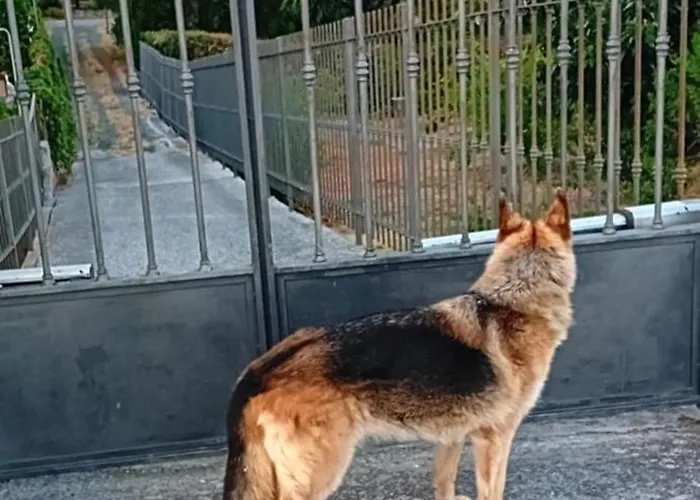 Casa Capo Lägenhet Sanremo