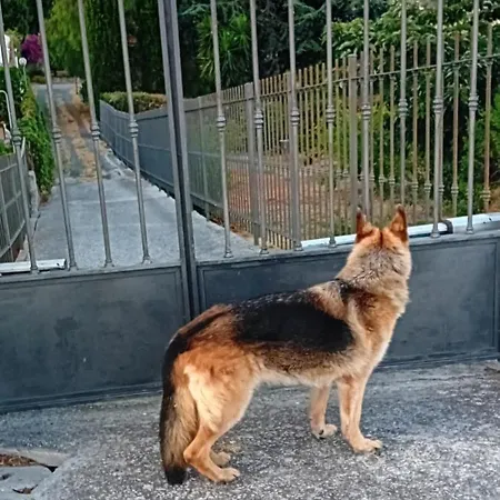 Casa Capo Apartment Sanremo